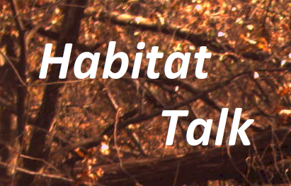 Wildlife Habitat - Lets talk.....