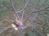 IMG_20140429_200303.jpg
