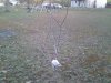 IMG_20140429_200222.jpg