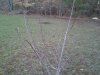 IMG_20140429_200237.jpg