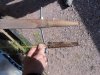 DSC02920.JPG