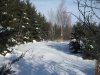 IMG_8494 2.jpg