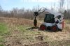 Giant Cuttings 17.JPG Giant Cuttings 17.JPG