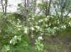 DSCN2285.JPG