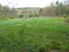 orchard May 14,2014 2014-05-14 010.JPG