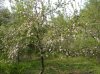 DSCN0300.JPG