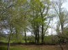 DSCN0305.JPG