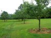 DSCN0955.JPG DSCN0955.JPG