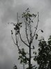 IMG_8685.JPG