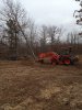 Kubota pushing plot tree.JPG
