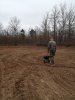 80 clover planting.JPG