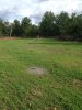 80 plot growth may.JPG