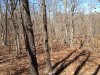 80 terrain 2 325.JPG