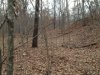 80 Terrain.JPG