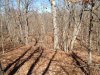 80 terrain 325.JPG