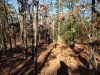 more new 80 flat ground.JPG