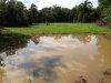 Clover over pond.JPG