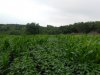 DSCN0510.JPG