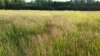 20140711_195030 (800x450).jpg