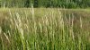20140711_195109 (800x450).jpg