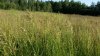 20140711_195210 (800x450).jpg