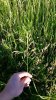 20140711_195239 (450x800).jpg