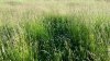 20140711_195258 (800x450).jpg