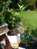 Chestnut-7-14.jpg
