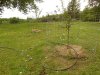 DSCN0466.JPG