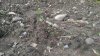 Broadcast cuttings 1.jpg