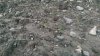 Broadcast cuttings 8.jpg