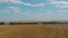 Harvest.jpg Harvest.jpg