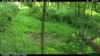 Nice Buck water Hole.JPG