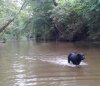 lucy creek.jpg lucy creek.jpg