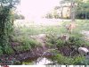 small 10 new.jpg