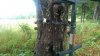 Climbing Sticks 2.jpg Climbing Sticks 2.jpg