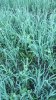 20160814_074716.jpg