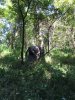 IMG_0674.JPG