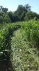 20160814_171104.jpg