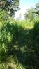 20160814_165135.jpg