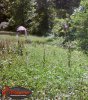 IMG_0827.JPG