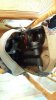 20160821_091947.jpg