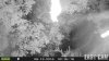 HUNT0032.JPG