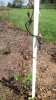 IMG_20160821_085024.jpg IMG_20160821_085024.jpg