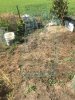 Nursery cage 1.JPG