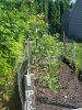 20160826_095606.jpg