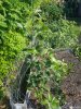 20160826_095610.jpg