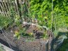 20160826_095554.jpg