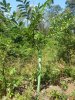 20160828_125458.jpg