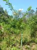 20160828_125505.jpg